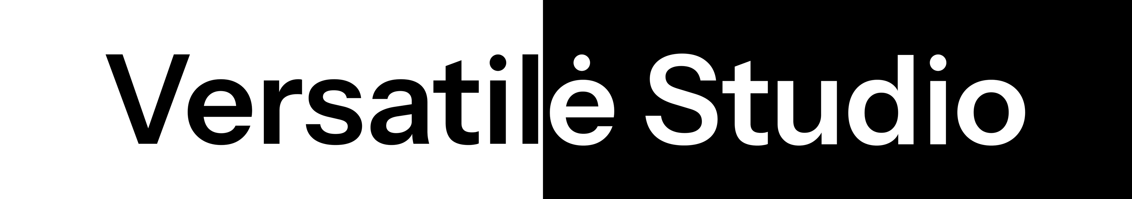 Versatilė Studio